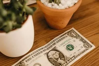 cactus y feng shui