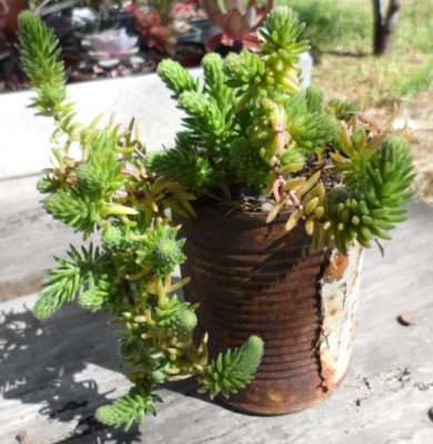 Errores comunes dejar sin cambios