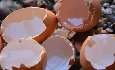 Fertilizantes caseros cascaron de huevo