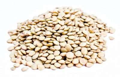 Enraizadores naturales lentejas