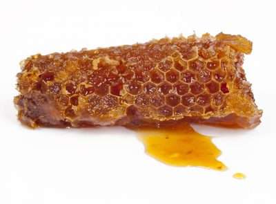 Enraizadores naturales miel