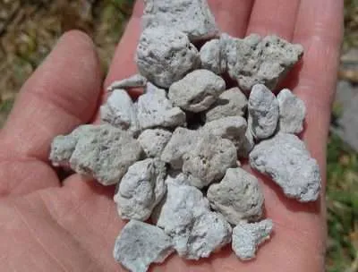 Tepojal tamaño